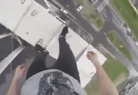 Bewegter Picturedump 380