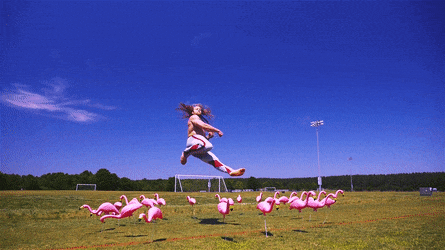 Bewegter Picturedump 380