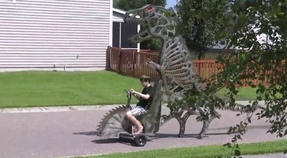 Bewegter Picturedump 293