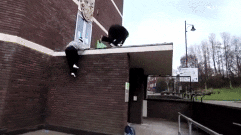 Bewegter Picturedump 454