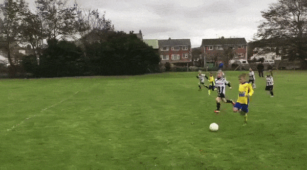 Bewegter Picturedump 454