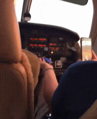 Bewegter Picturedump 454