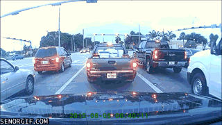 Bewegter Picturedump 454