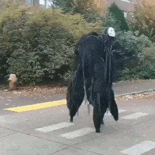 Bewegter Picturedump 454