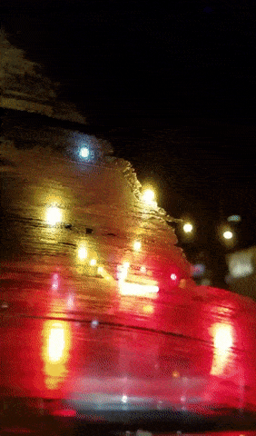 Bewegter Picturedump 454