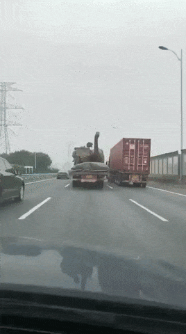 Bewegter Picturedump 454