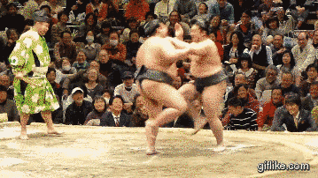 Bewegter Picturedump 454