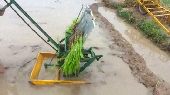 Bewegter Picturedump 354