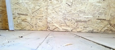 Bewegter Picturedump 354