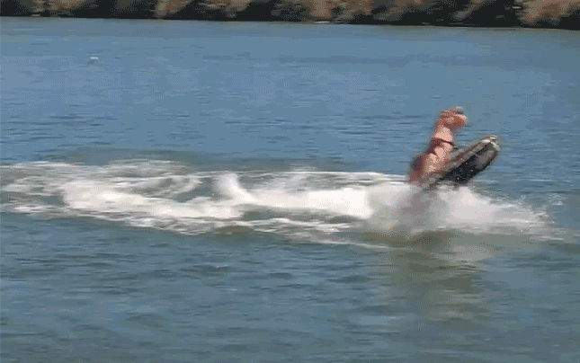 Bewegter Picturedump 354