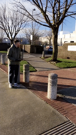 Bewegter Picturedump 363