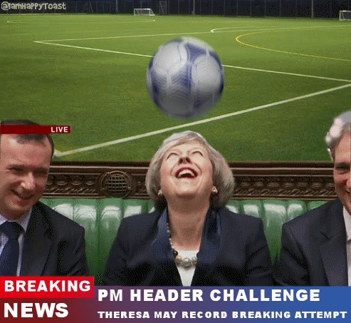 Bewegter Picturedump 367