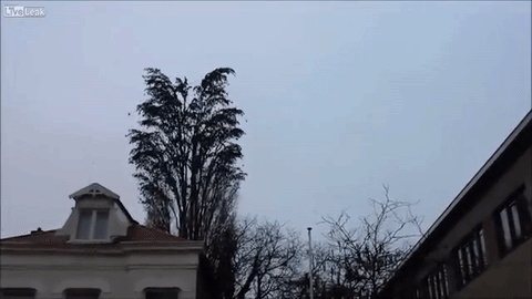 Bewegter Picturedump 367