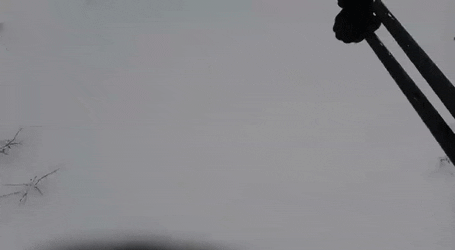 Bewegter Picturedump 367