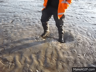 Bewegter Picturedump 367