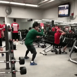 Bewegter Picturedump 367