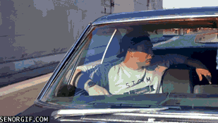 Bewegter Picturedump 267