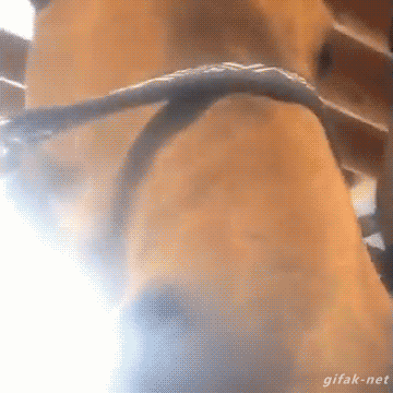 Bewegter Picturedump 267