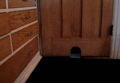 Bewegter Picturedump 228