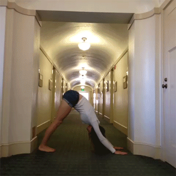 Bewegter Picturedump 280