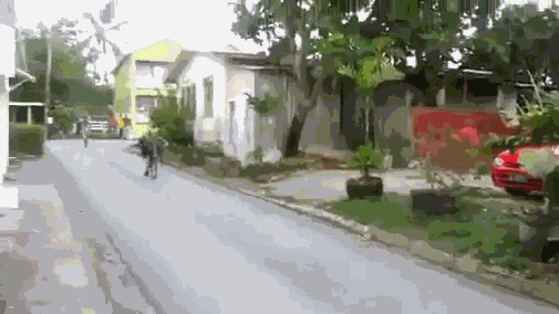 Bewegter Picturedump 280