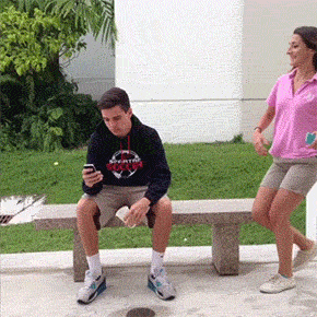 Bewegter Picturedump 280