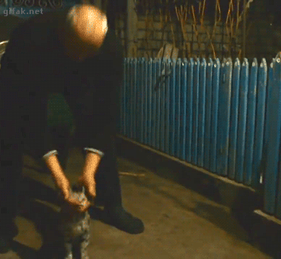 Bewegter Picturedump 441