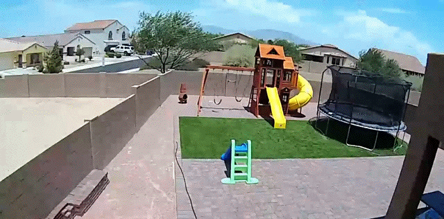 Bewegter Picturedump 441