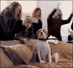 Bewegter Picturedump 441