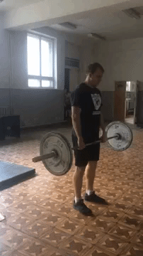 Bewegter Picturedump 441