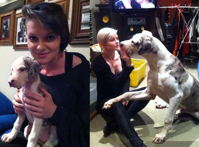 Alte Fotos nachgestellt