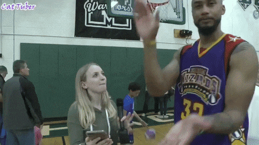 Bewegter Picturedump 463