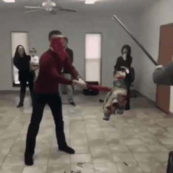 Bewegter Picturedump 463