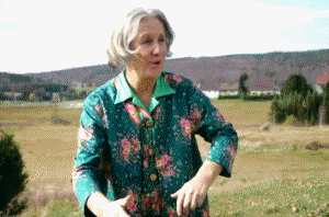 Bewegter Picturedump 463