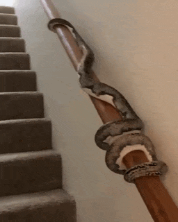 Bewegter Picturedump 463