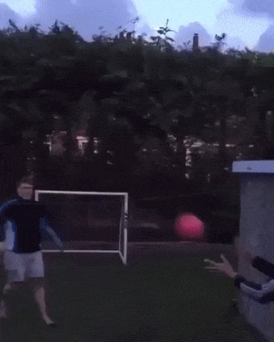 Bewegter Picturedump 463