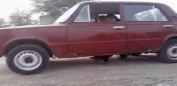 Bewegter Picturedump 215