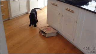 Bewegter Picturedump 215