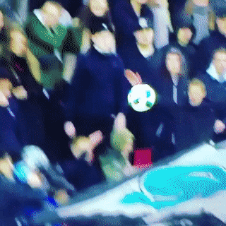 #05 Bewegter Picturedump 502