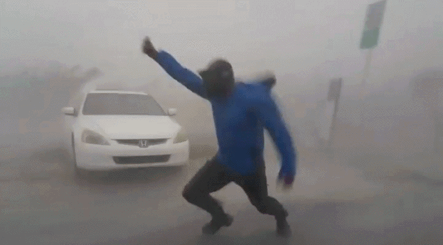 #12 Bewegter Picturedump 502