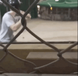 #16 Bewegter Picturedump 502