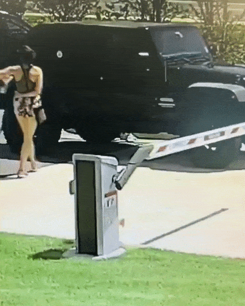 #22 Bewegter Picturedump 502