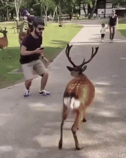 #8 Bewegter Picturedump 502