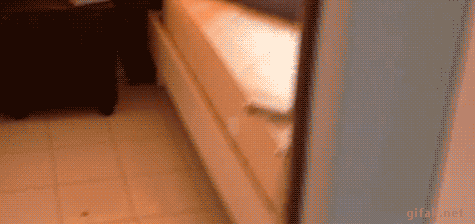 Bewegter Picturedump 311