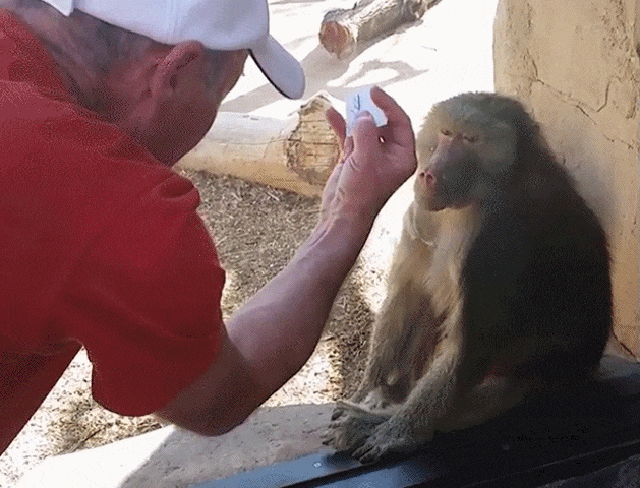 Bewegter Picturedump 376