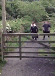 Bewegter Picturedump 376