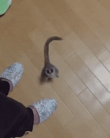 Bewegter Picturedump 376