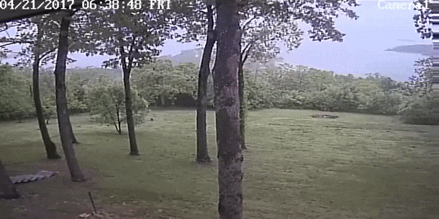 Bewegter Picturedump 376