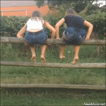 Bewegter Picturedump 376