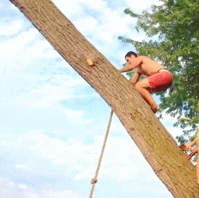 Bewegter Picturedump 376